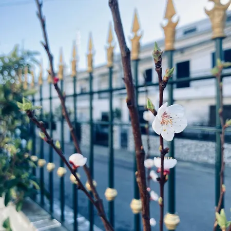 Retreat Quarto em Acomodações Particulares *