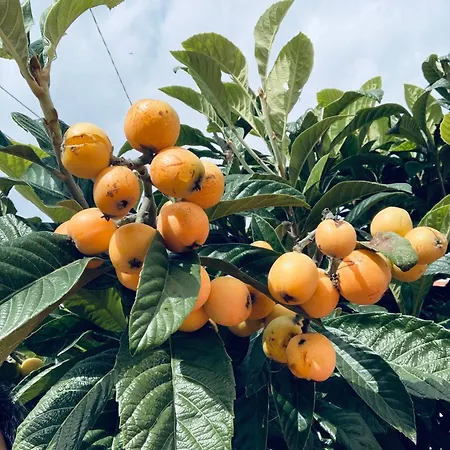 Quarto em Acomodações Particulares Retreat *